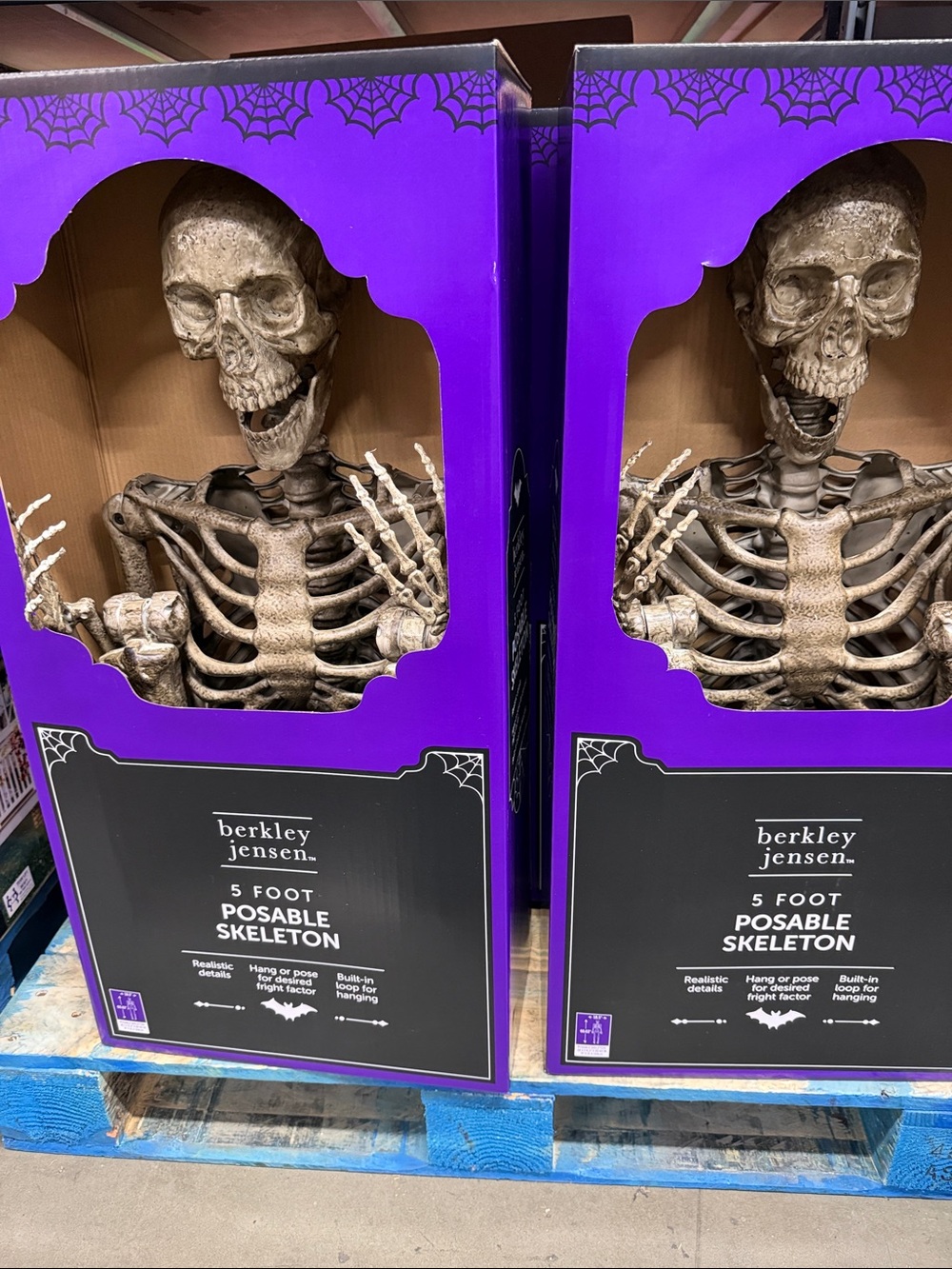 Berkley Jensen 5-Foot Poseable Skeleton Halloween Decor - Brown